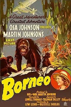Borneo Poster