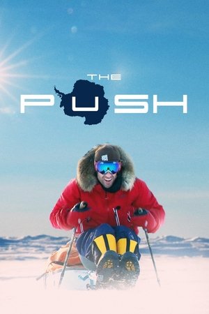 The Push Poster