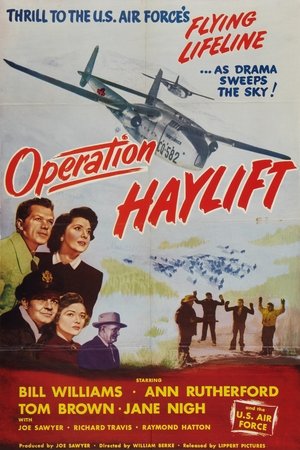 Operation Haylift Poster