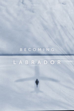 Becoming Labrador Poster