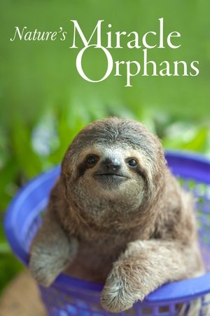 Nature's Miracle Orphans Poster