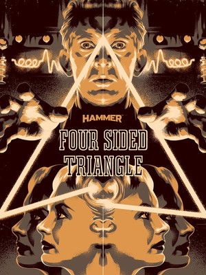 Four Sided Triangle Poster