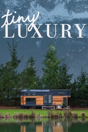 Tiny Luxury Poster