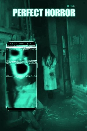 Perfect Horror Poster