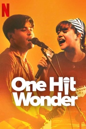 One Hit Wonder Poster