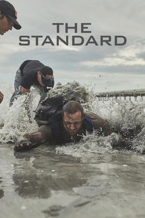 The Standard Poster