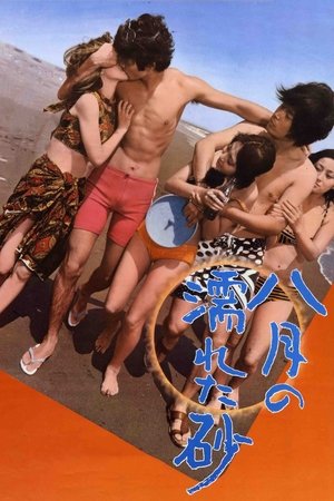 Wet Sand in August Poster