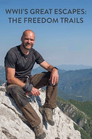 WWII's Great Escapes: The Freedom Trails Poster