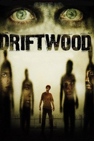 Driftwood Poster