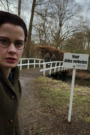 Oorlog-stories Poster