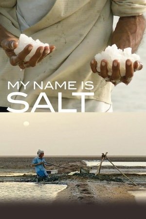 My Name Is Salt Poster