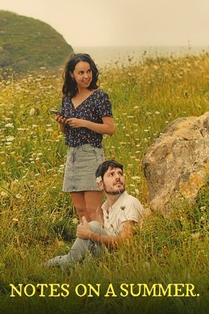 Notes on a Summer Poster