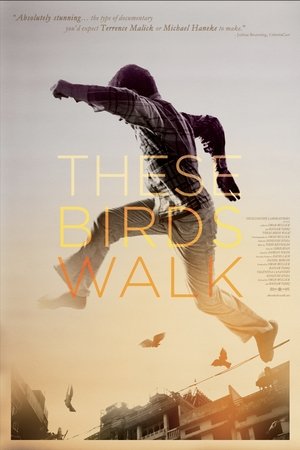 These Birds Walk Poster