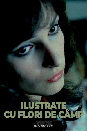 Postcards with Wildflowers Poster