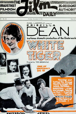 White Tiger Poster