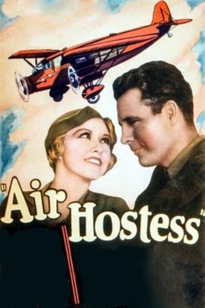 Air Hostess Poster