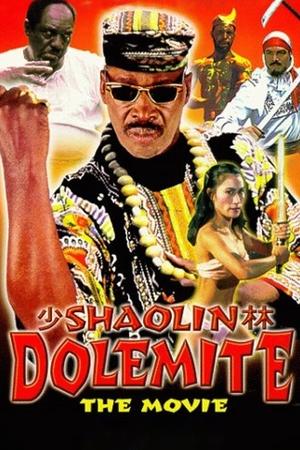 Shaolin Dolemite Poster