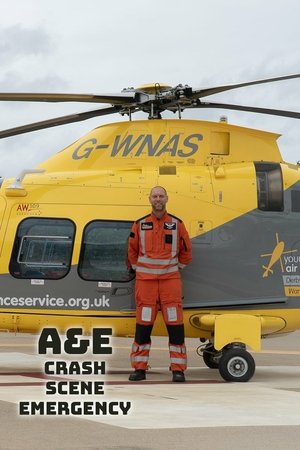 A&E Crash Scene Emergency Poster