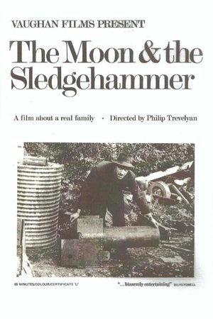 The Moon and the Sledgehammer Poster