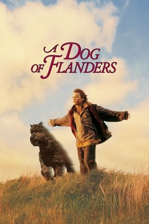 A Dog of Flanders Poster