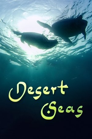 Desert Seas Poster