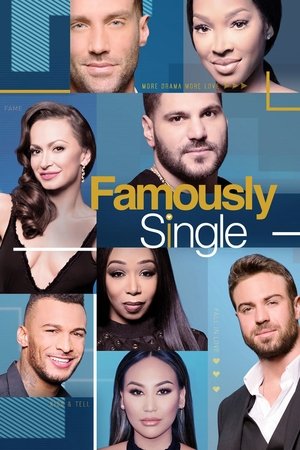 Famously Single Poster