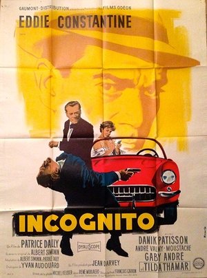 Incognito Poster