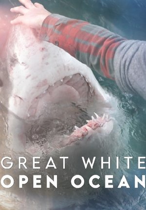 Great White Open Ocean Poster