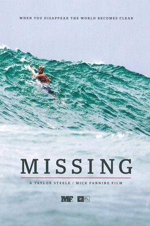 Missing Poster