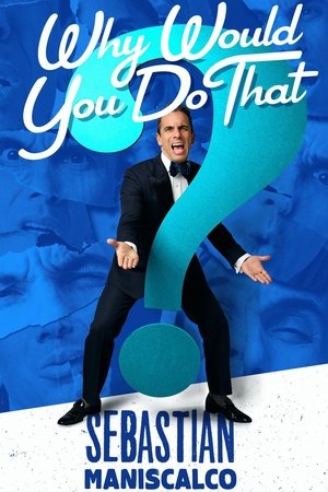 Sebastian Maniscalco: Why Would You Do That? Poster