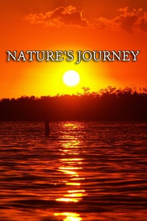 Nature's Journey Poster
