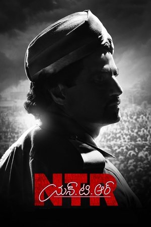 N.T.R: Kathanayakudu Poster