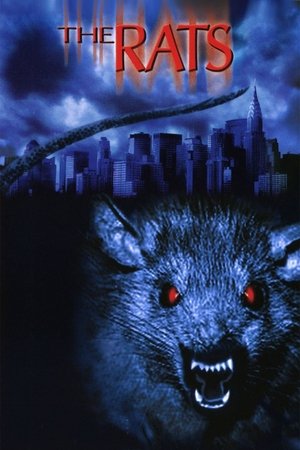 The Rats Poster