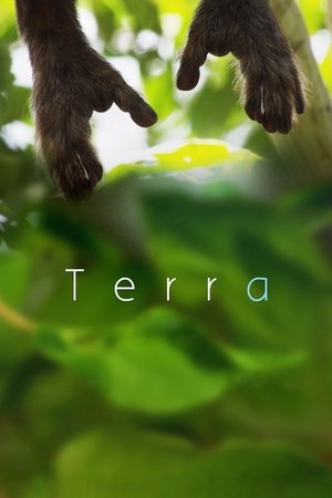 Terra Poster