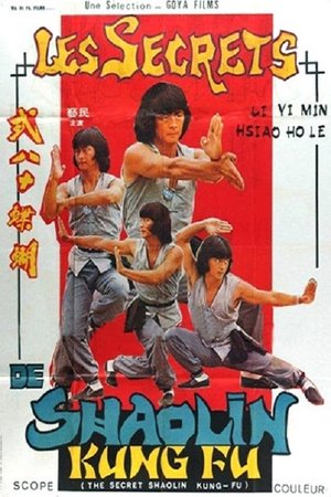 The Secret Shaolin Kung-Fu Poster