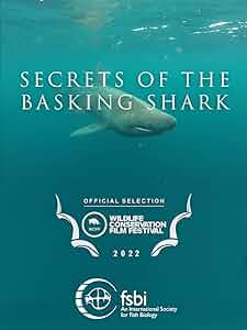 Secrets of the Basking Shark Poster
